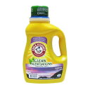 アーム&ハンマー Arm&Hammer トワイライトスカイ アーカディア 液体洗濯洗剤 1840ml(3)