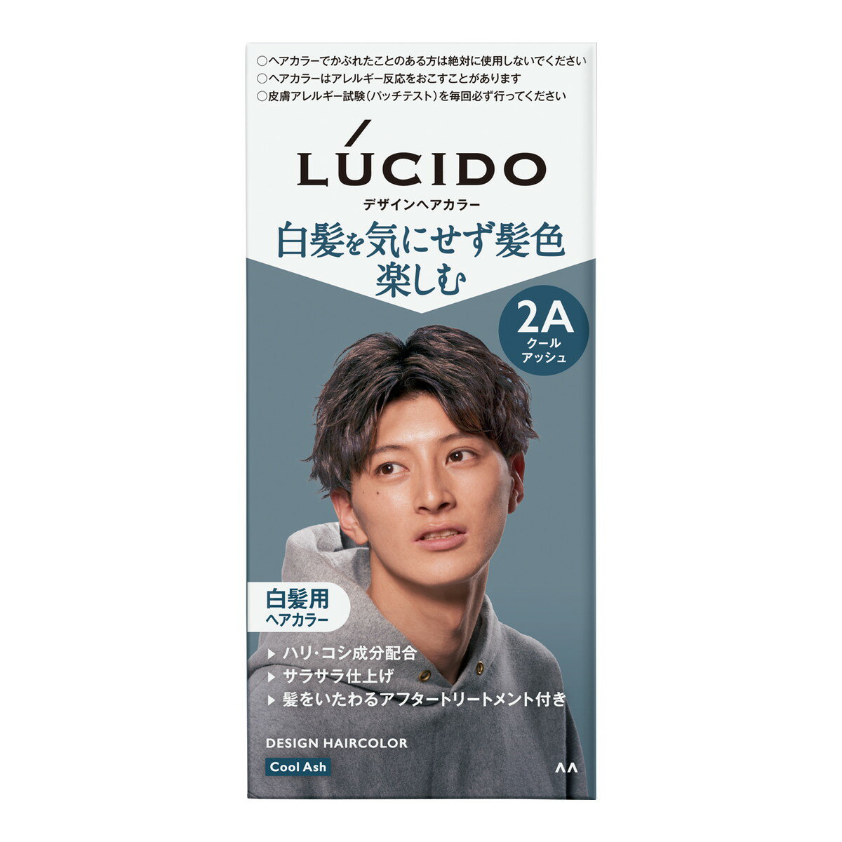 【送料込・まとめ買い×2点セット】マンダム LUCIDO ルシード デザインヘアカラー 2A クールアッシュ 白髪用 ヘアカラー 男性用