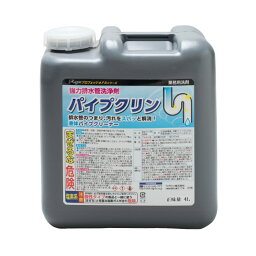 ラグロン 強力排水管洗浄剤 パイプクリン 4L