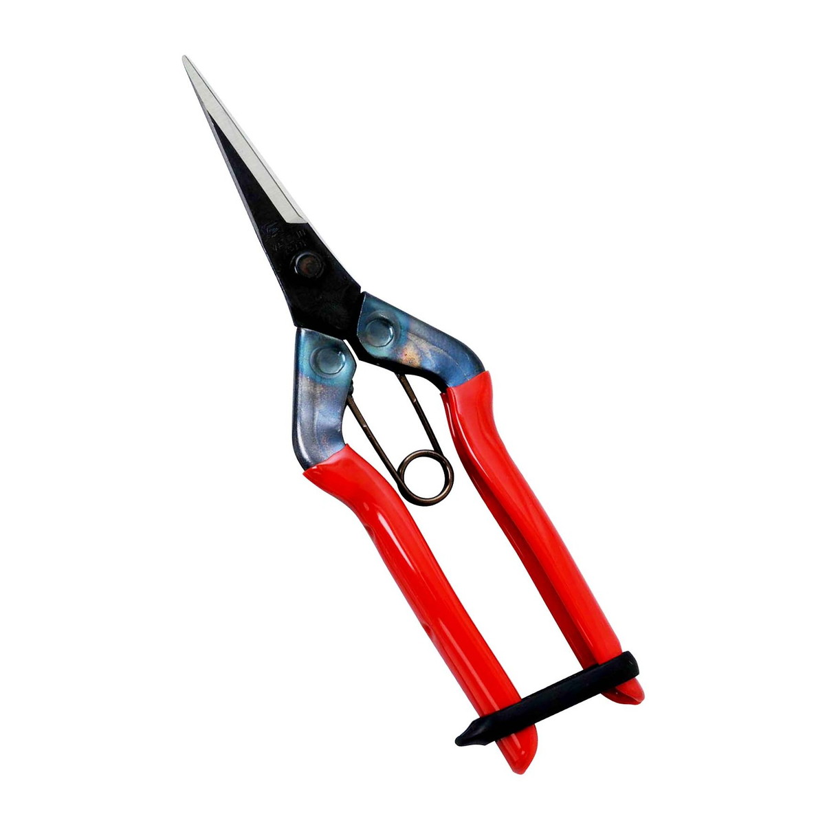 【送料込・まとめ買い×10個セット】近正 チカマサ 芽切ハサミ T-550 園芸用品