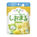 【令和・早い者勝ちセール】サラヤ しおまる ひんやり レモンソーダ味 30g 暑さ対策 塩ラムネ