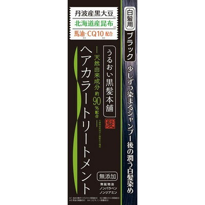 【送料無料・まとめ買い×048】三和通商 うるおい黒髪本舗ヘアーカラーブラック ×048点セット（4543268078047）