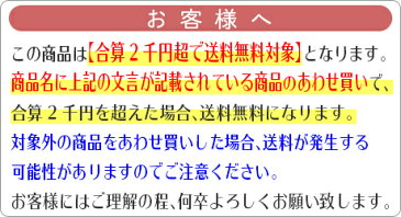 【夜の市★合算2千円超で送料無料対象】NEF2−100S無漂白2−4杯用100枚 ( 4957459030026 )