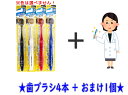 【4本+おまけ付】エビス プレミアムケアハブラシ 7列レギュラー ふつう 1本入×4点セット+おまけあり ( 4901221360316 ) ※色は選べません ...