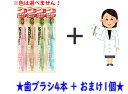 【4本+おまけ付】エビス EBiSU プレミアムケア エコ ハブラシ 6列レギュラー ふつう ×4本セット+おまけあり ( 4901221804315 )★ ※...