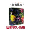 河野製紙 FULL BLOOM COLLECTION プレミアム シャワー トイレット ダブル 25m×4ロール入　ほのかな花の香り（トイレットペーパー4RW）（4901451164258）※初めの購入者限定価格　お一人様1回限り