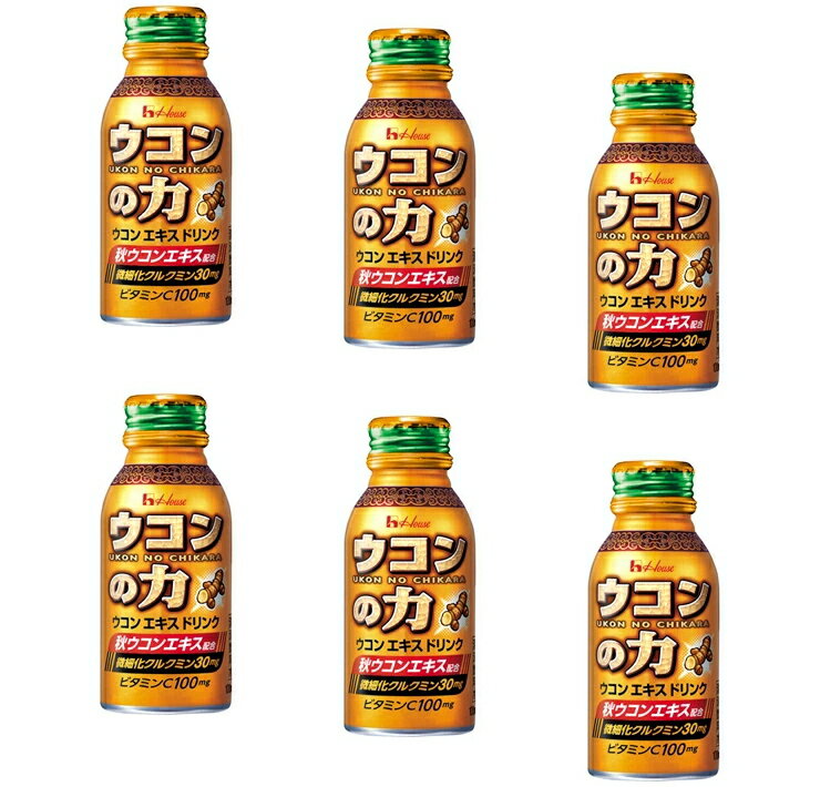 【訳あり特価・まとめ買い×6】ハウス　ウコンの力　100mL×6本セット ( うこんのちから　ウコンエキスドリンク )（4530503700016）※パッケージ変更の場合あり 決算セール　期限2023.4