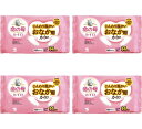 【送料込・まとめ買い×4】小林製薬 命の母 カイロ じんわり温かい おなか用カイロ 10個入×4点セット 衣類に貼るタイプのカイロ(4901548603851)...