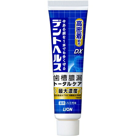 【お試し・初回購入限定】ライオン デントヘルス 薬用 ハミガキ DX 28g　クリーン...