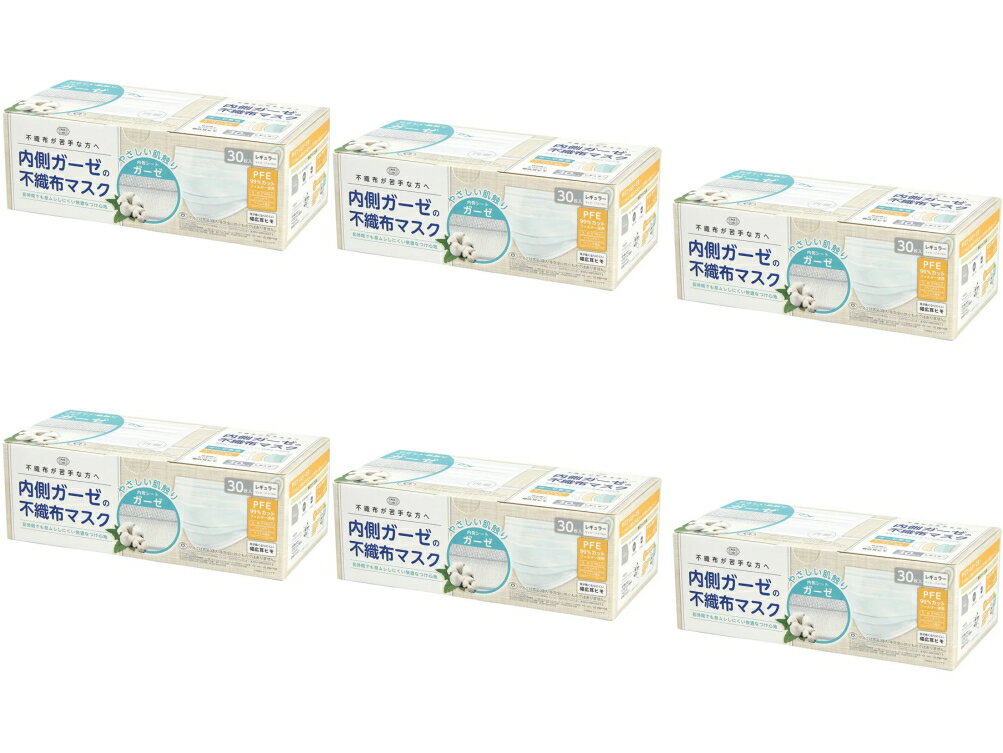 【送料込・まとめ買い×6】富士 内側ガーゼの不織布マスク 30枚入 ×6点セット　レギュラーサイズ　ホワイト（175×90mm　使い切り不織布マスク）（4944109314612）
