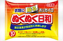 【令和・早い者勝ちセール】興和　ホッカイロ　ぬくぬく日和　貼るレギュラー　10個入り（使い捨てカイロ） ( 4987067829606 )※無くなり次第終了の商品画像