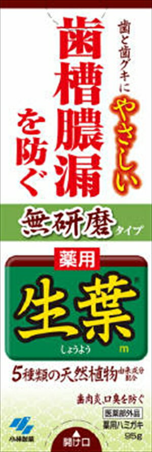 【送料込・まとめ買い×2点セット】【小林製薬】【シヨウヨウ】生葉 無研磨タイプ　95g 無研磨タイプの薬用ハミガキ 医薬部外品 ( 4987072036655 )