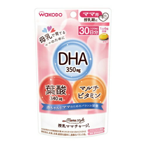 【送料無料・まとめ買い×10】和光堂 ママスタイル　授乳ママチャージ 51．6G ×10点セット（49872441821..