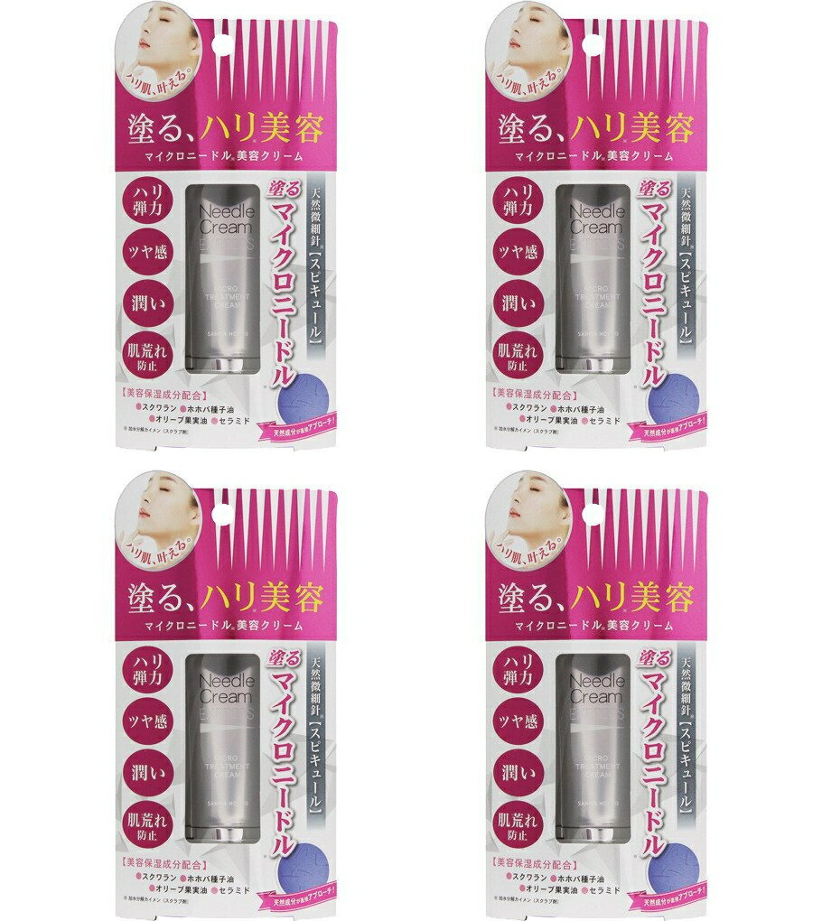 【送料込・まとめ買い×4】三和通商 ニードルクリーム エクスプレス 25g×4点セット(マイクロニードル美容クリーム)(4543268101301)