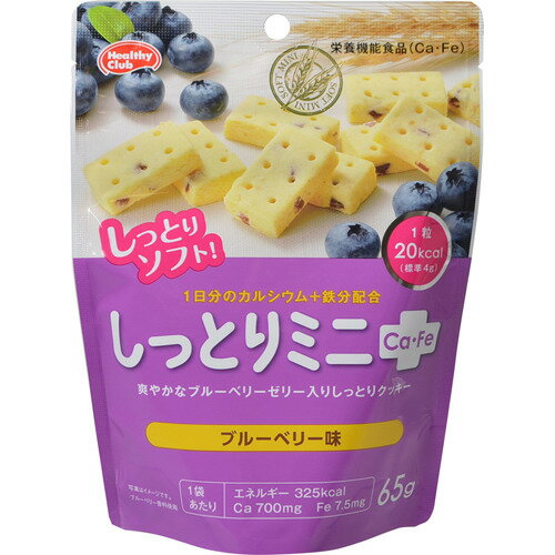 ハマダコンフェクト しっとりミニCa・Fe ブルーベリー味 65g