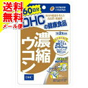 【メール便送料込】DHC 濃縮ウコン60日 120粒