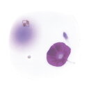 【送料込・まとめ買い×200】夢の夢 朝露香皿 ×200点セット(4902125385726)