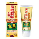 【令和・早い者勝ちセール】小林製薬 ひきしめ生葉 100g 医薬部外品 ( 歯周・口臭予防病歯磨き オーラルケア ) ( 4987072072752 )