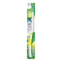 【最大半額!令和セール】デンタルプロ フレッシュハブラシ Mカット ふつう ( 歯ブラシ ) ( 4973227847146 )