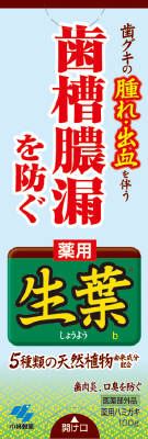 【令和・早い者勝ちセール】小林製薬　生葉 ( しょうよう ) b 100g　 ( 歯周病・知覚過敏用歯磨き粉・ハミガキ ) ( 4987072008041 )