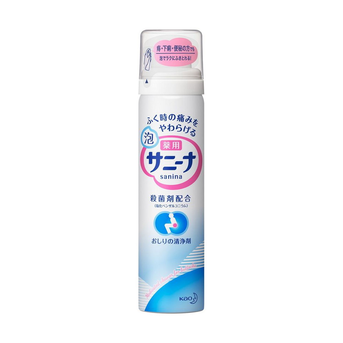 【送料無料 まとめ買い×10】花王 薬用 泡サニーナ 70g