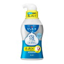 【送料込】花王 薬用ピュオーラ 泡で出てくるハミガキ 190ml 歯磨き粉 医薬部外品1個(4)