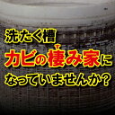 【令和・早い者勝ちセール】エステー 洗浄力　洗たく槽クリーナー 550g 3