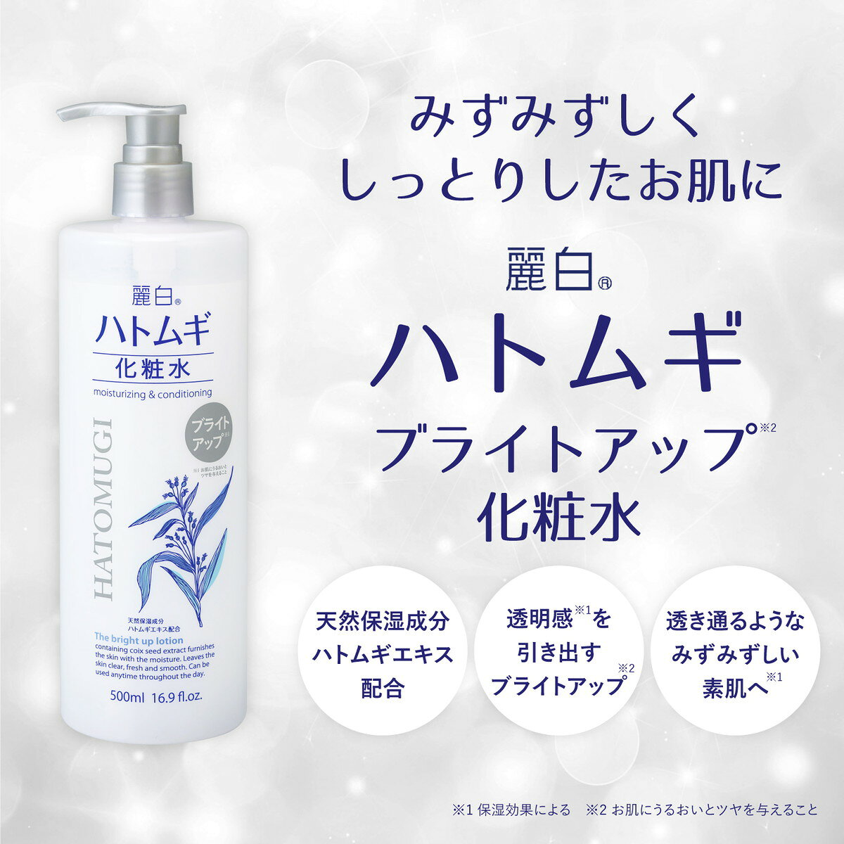 サンプル画像3