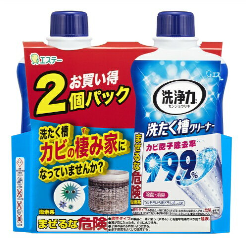 【数量限定】エステー 洗浄力 洗たく槽クリーナー 550g ×2コパック(4901070939145)※無くなり次第終了