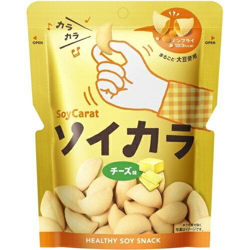 商品説明「ソイカラ チーズ味 27g」は、大豆を使用した野菜スナックです。大豆約50粒分のたん白質、大豆イソフラボン、食物繊維が摂れます。油で揚げていないので、1袋123キロカロリー。スナック感覚の新しい大豆です。賞味期限等の表記について西暦年/月/日の順番でパッケージに記載。ご注意●開封後はお早めにお召し上がりください。●大豆アレルギーの方はお控えください。●製品表面にまれに見える赤い粒はパプリカ色素であり、品質に問題ありません。●口の中を傷めたり、のどにつまらせないよう、少しずつよくかんでお召し上がりください。特に、小さなお子様はご注意ください。ジッパーなし再封パック(1)開け口を、へこみの位置まで折り返す。(2)両側のツメを、しっかり折り返すと再封できます。保存方法高温をさけ、涼しい場所に保存してください。原材料名・栄養成分等●原材料：大豆粉(遺伝子組換えでない)、でん粉、チーズ粉、醸造調味料、デキストリン、食物繊維(イヌリン)、食塩、サワークリームエキス、レモンバームエキス、加工でん粉、環状オリゴ糖、香料、酸化防止剤(ビタミンE)、甘味料(ステビア)、パプリカ色素●栄養成分表示：1袋(27g)あたりエネルギー 123kcal、たんぱく質 6.3g、脂質 5.1g、糖質 11.6g、食物繊維 2.0g、ナトリウム 86-200mg、(食塩相当量 0.2-0.5g)●関連成分：1袋(27g)あたり大豆イソフラボン 21mgお問い合わせ先大塚製薬株式会社お客様相談室：0120-550708ブランド：ソイカラ発売元：大塚製薬 内容量：27gJANコード：　4987035558613[ソイカラ]フード[スナック菓子]発売元、製造元、輸入元又は販売元：大塚製薬広告文責：アットライフ株式会社TEL 050-3196-1510※商品パッケージは変更の場合あり。メーカー欠品または完売の際、キャンセルをお願いすることがあります。ご了承ください。