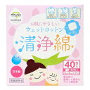 大衛 アメジスト ファミレ 清浄綿 40包入 ウェットコット...