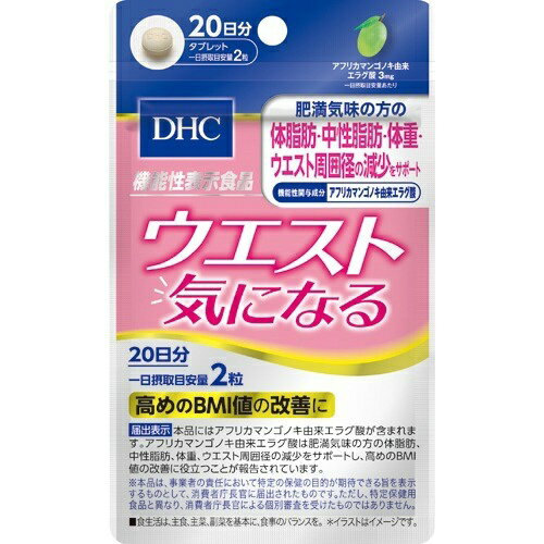 【送料込・まとめ買い×6個セット】DHC 20日分 ウエスト気になる 40粒入