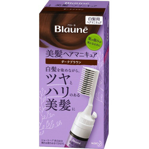 花王 ブローネ ヘアマニキュア 白髪用 ダークブラウン クシ付 72g