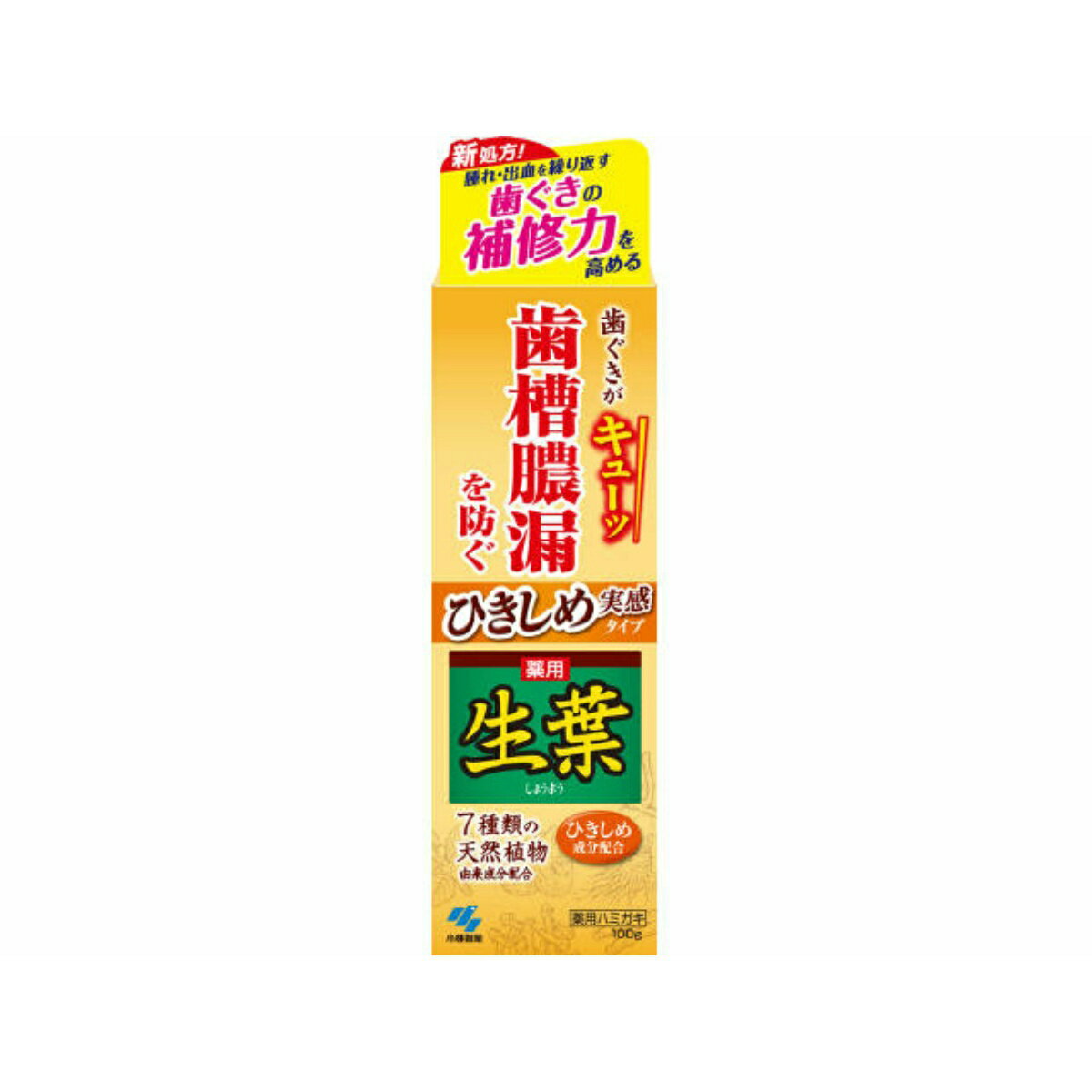 【送料込・まとめ買い×9個セット】小林製薬 薬用 ひきしめ 生葉 100g 薬用ハミガキ 医薬部外品