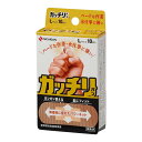 ニチバン ガッチリバン Lサイズ 10枚入