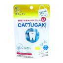 【送料込・まとめ買い×5個セット】TSUYOMI CAMUGAKI カムガキ 20粒入 レモンフレーバー 外出用 固形 マウスウォッシュ 口臭清涼剤