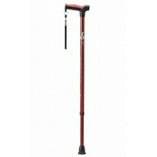 竹虎 ヒューゴステッキブラウンのサムネイル