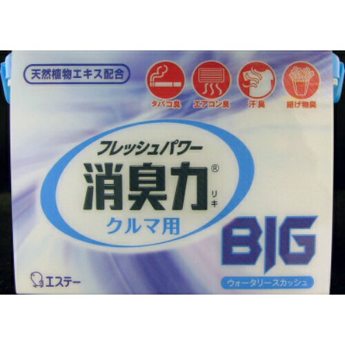 【令和・早い者勝ちセール】消臭力 クルマ用　BIG　ウォータリースカッシュ 900g (4901070123735)