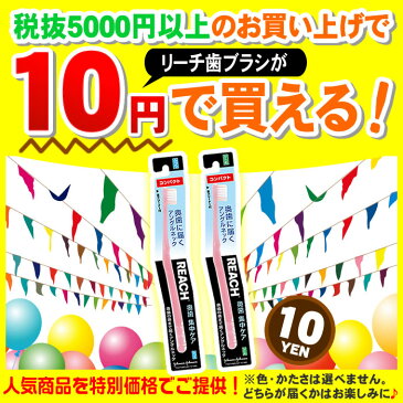 【5000円以上購入者限定】お試し商品サンプルB　リーチ 歯ブラシ 1本 ※ハブラシの色・かたさは選べません。どれが届くかお楽しみに！ ( ★他の試供品サンプルと同時購入できません )