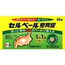 【第2類医薬品】セルベール整胃錠 (セルフメディケーション税制対象) 45錠