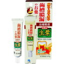 【送料込】【第3類医薬品】生葉口内塗薬 20g 1個(4)