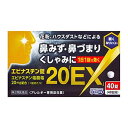 【第2類医薬品】奥田製薬 エピナスチン錠20「EX」 40錠入 ※セルフメディケーション税制対象