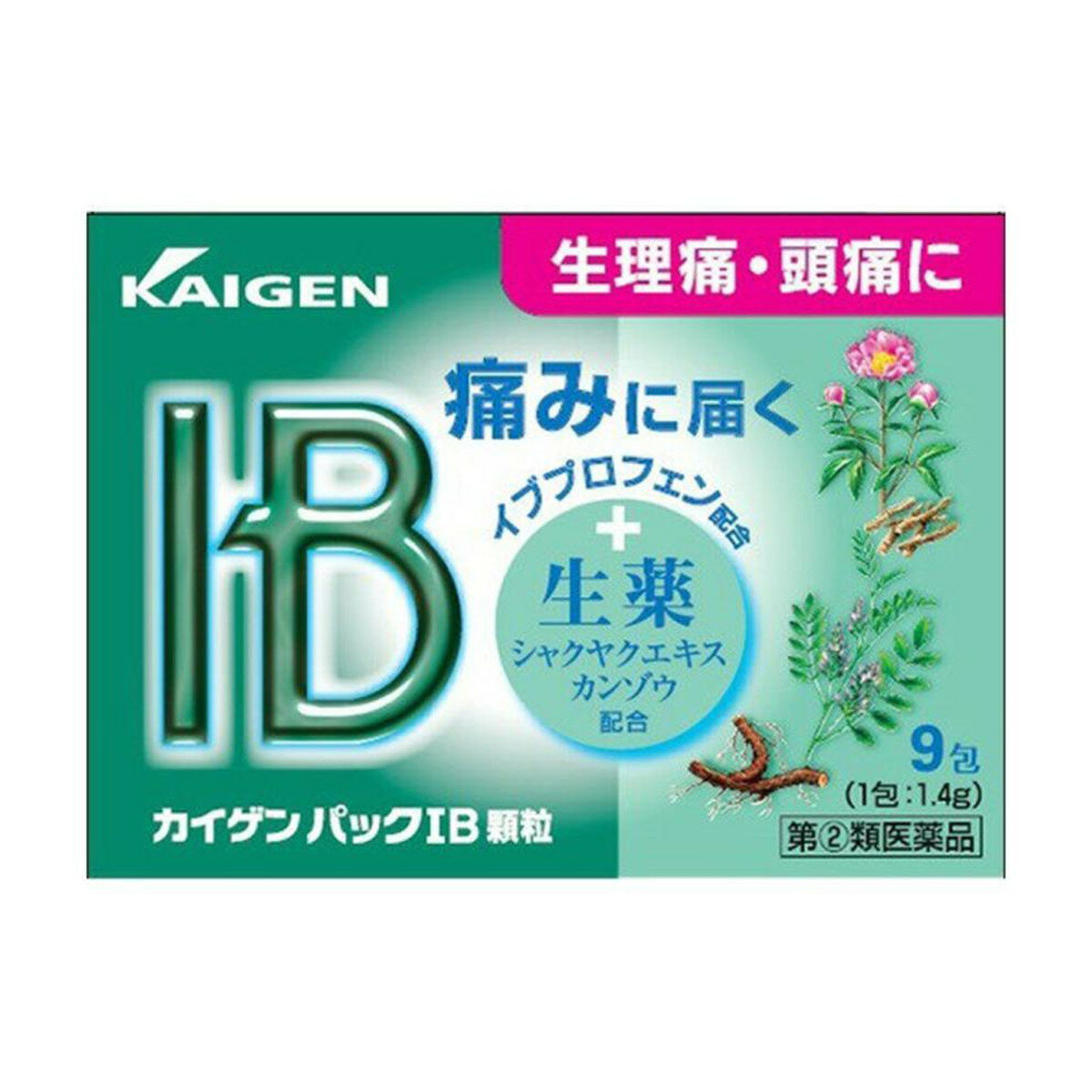 【第(2)類医薬品】カイゲンファーマ カイゲン パックIB 顆粒 9包入 ※セルフメディケーション税制対象