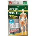 【送料無料・まとめ買い×10】興和 バンテリンコーワ サポーター 腰用 シャイニンググレー ふつうサイズ 胴囲(へそ周り) 65-85cm