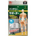 【送料無料・まとめ買い×3】興和 バンテリンコーワ サポーター 腰用 シャイニンググレー ゆったり大きめサイズ 胴囲(へそ周り) 95-115cm
