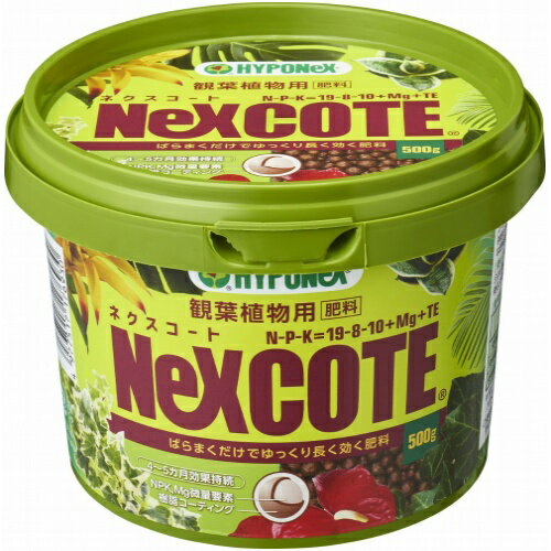 ハイポネックスジャパン ネクスコート 観葉植物用 肥料 500gのサムネイル