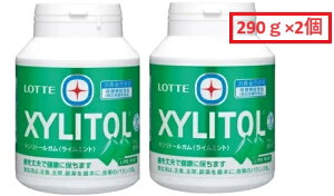【2個セット】ロッテ キシリトール ライムミント ガム 290g×2個セット シュガーレス 日本歯科医師会の推薦商品 歯 健康 清涼感 マルチトール XYLITOL Gum コストコ 3,980円以上購入で送料無料(沖縄離島9,980円以上)