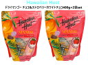 【2袋セット】ハワイアンホースト ドライマンゴー チョコ&ストロベリー 400g(約40枚)×2袋 コストコ ハワイ 人気 個包装 シェア クリスマス ハロウィ...