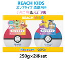 【2個セット】リーチ キッズ ポケットモンスター ポンプタイプ歯みがき 250g×2個 いちご香味 ぶどう香味 ポケモン 歯磨き ハミガキ 子供用 REACH KIDS Pokemon 消毒 殺菌 コストコ 誕生日 クリスマス プレゼント ギフト 3,980円以上購入で送料無料(沖縄離島9,980円以上)