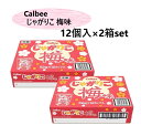 【2箱セット】カルビー じゃがりこ 梅味 52g×12個×2箱セット コストコ お菓子 おやつ つまみ 遠足 旅行 アウトドア キャンプ まとめ買い 大容量 個...